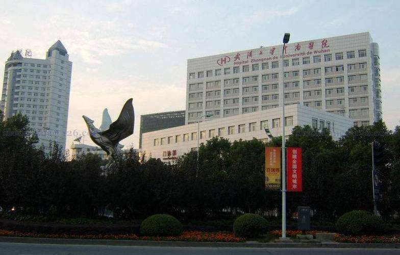 Dernière affaire concernant Hôpital de Zhongnan d'université de Wuhan